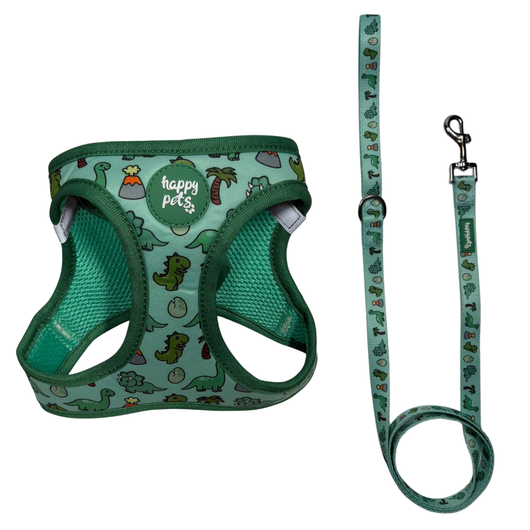 Pack Paseo Dino 🦖 · Arnés + Correa