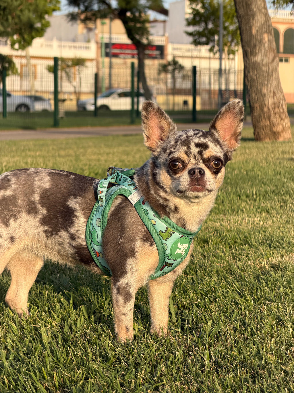 Pack Higiene Dino Happy Pets