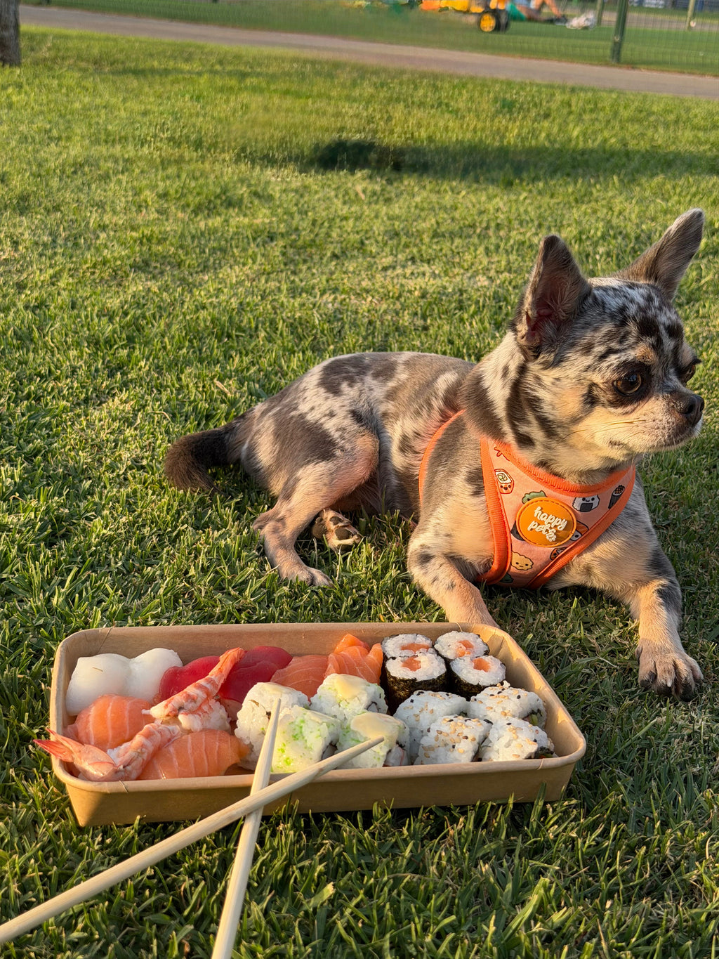 Pack Completo Sushi Happy Pets