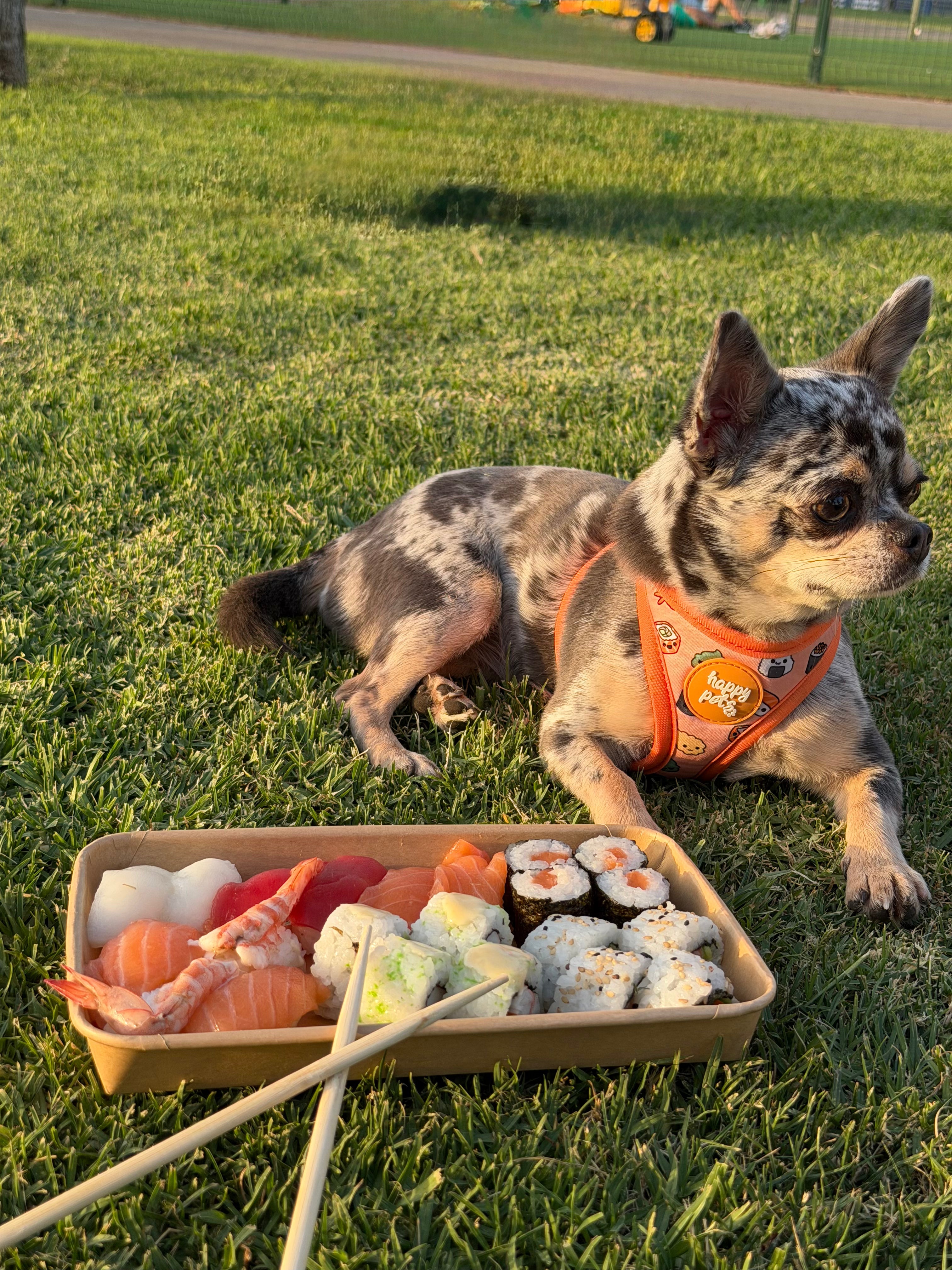 Pack Sushi Happy Pets