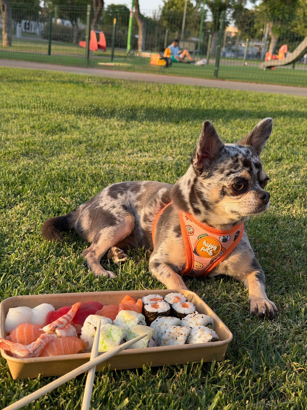 Pack Sushi Happy Pets