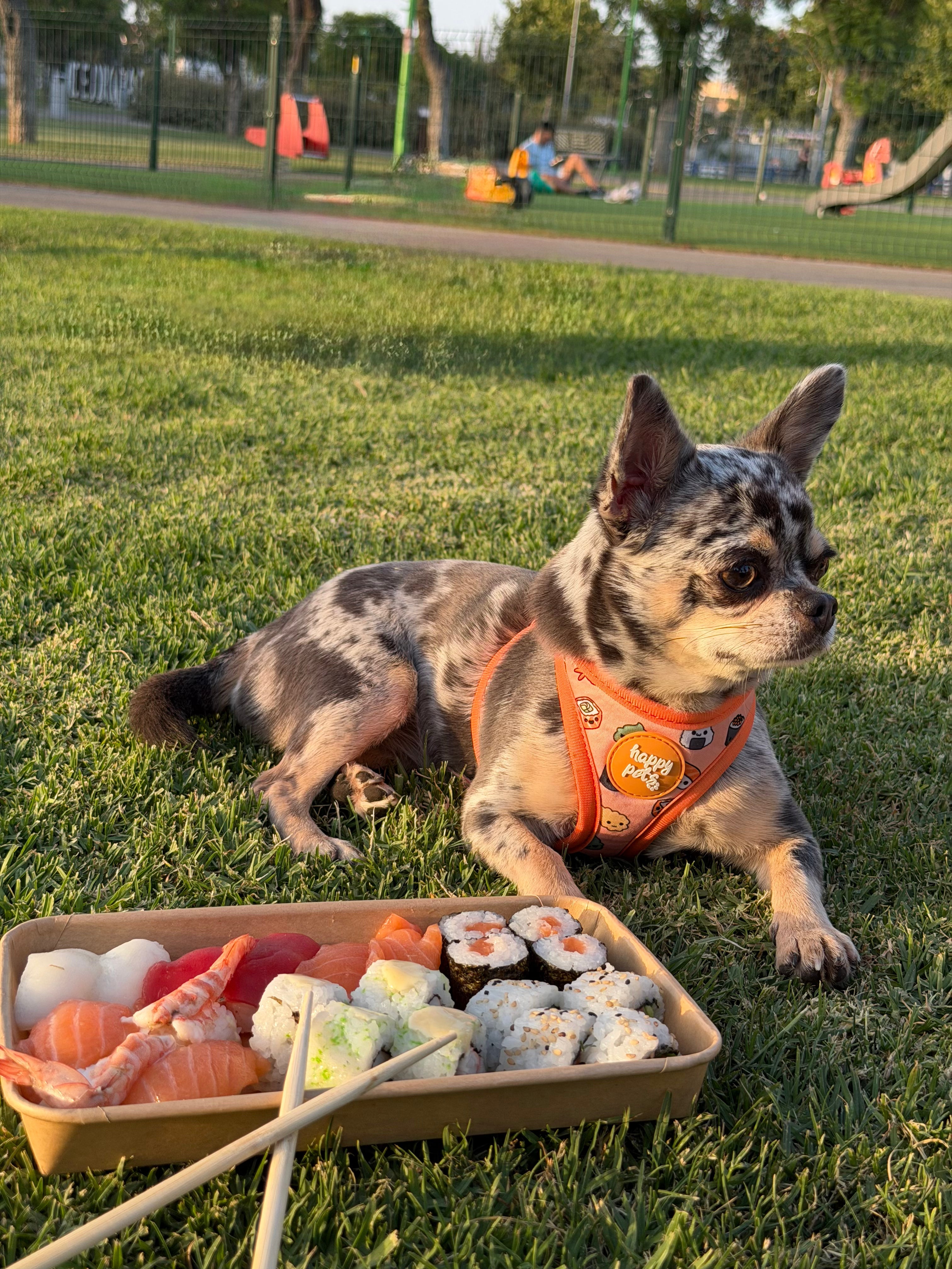 Pack Completo Sushi Happy Pets