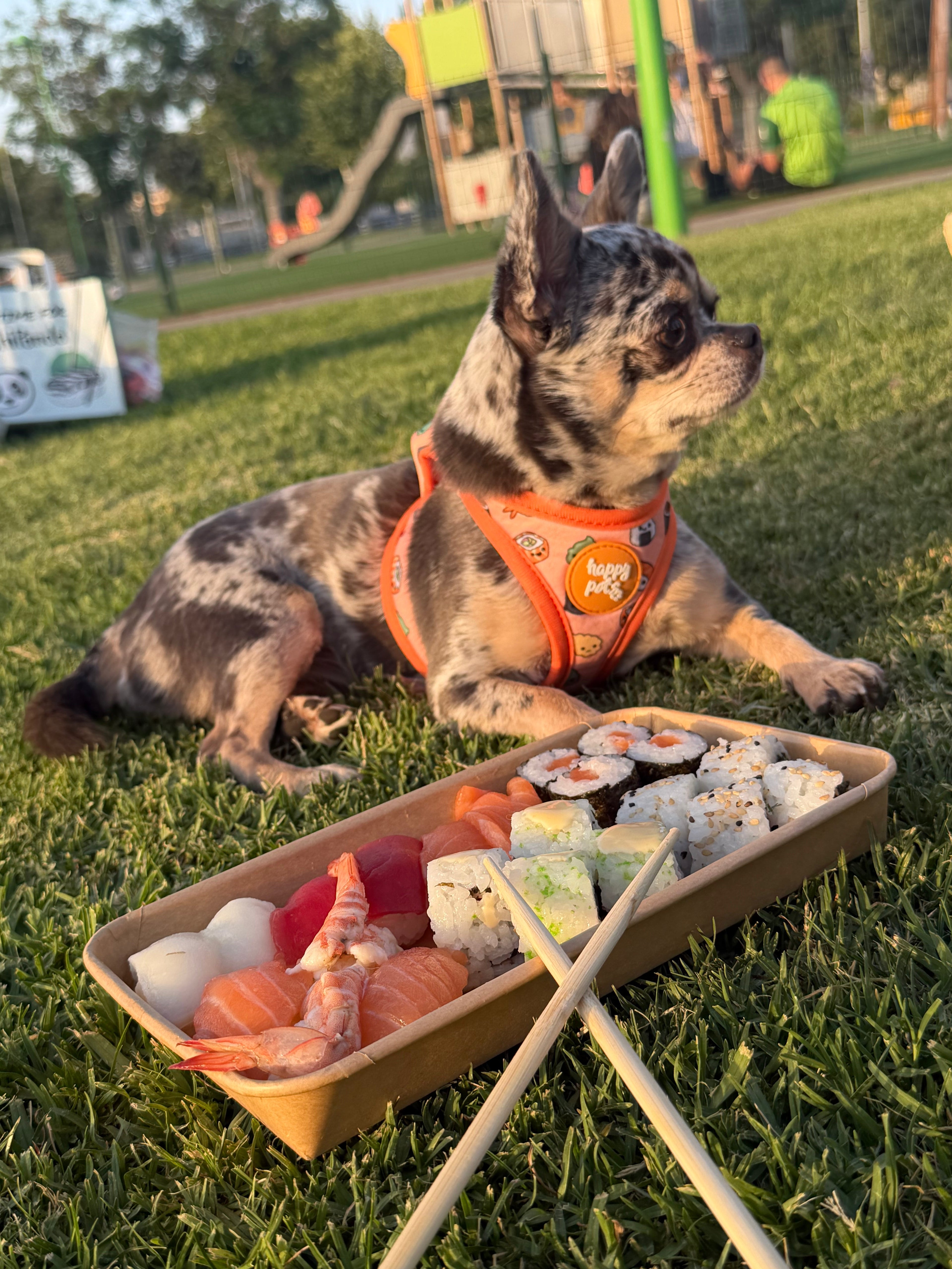 Pack Completo Sushi Happy Pets
