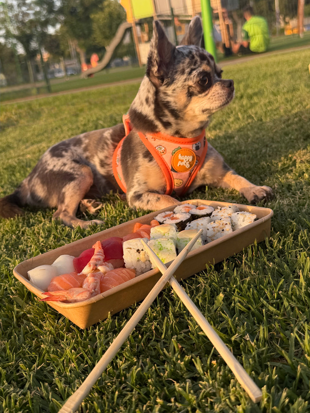 Arnés Sushi Happy Pets