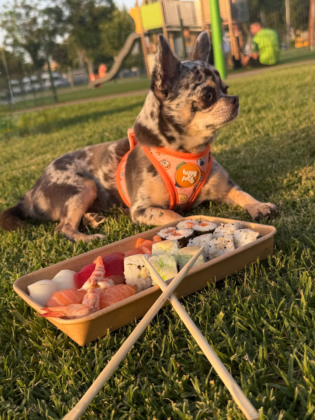 Pack Completo Sushi Happy Pets