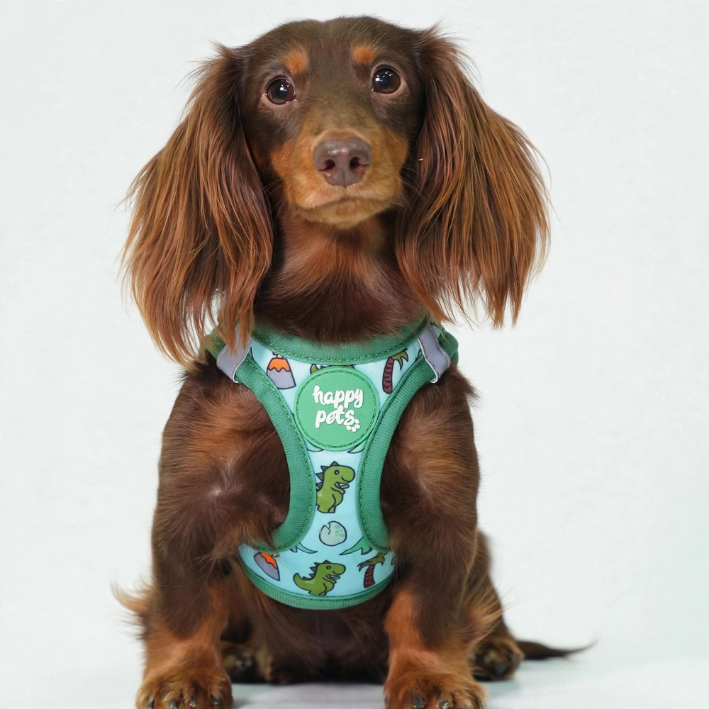 Perro salchicha con el Arnés Dino Happy Pets verde menta con dinosaurios